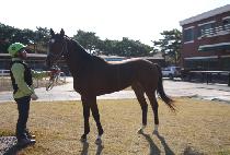 �ұ������� (BULGURUI JEONSA) ����