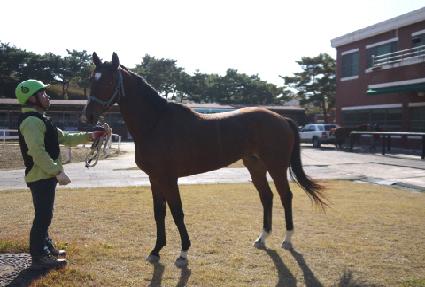 �ұ������� ����