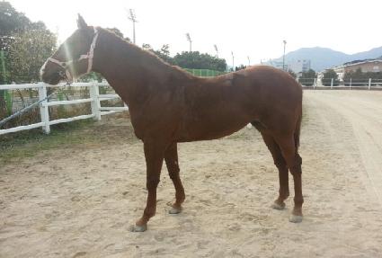 ��� ����