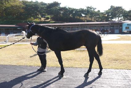 ��Ŀ�� ����