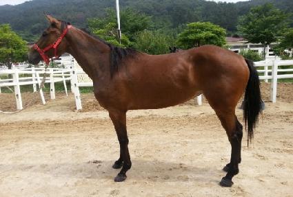 ���õ�� ����