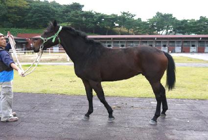 �۽�Ʈ������ ����