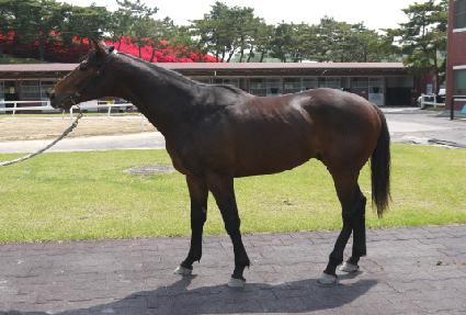 ���� ����