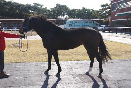 �����ֵ� ����