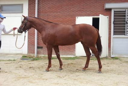 ����è�� ����