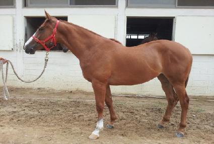 �������� ����