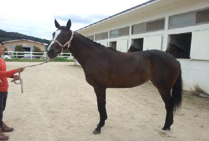 ÿ�μҳ�Ÿ ����