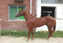 �ٴٰ��� (BADA GANGJA) ����