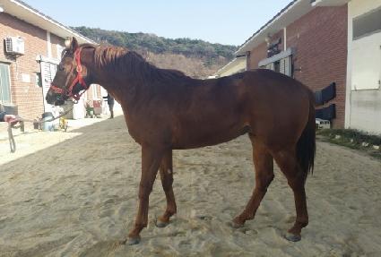 �ܵ��ض� ����