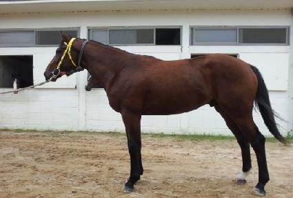 �ϵ����ػ� ����