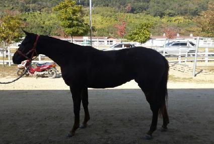 ����Ÿ�̰� ����