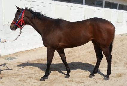 �Ϲ���ȭ ����