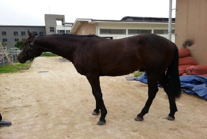 �뽺��ī�� ����