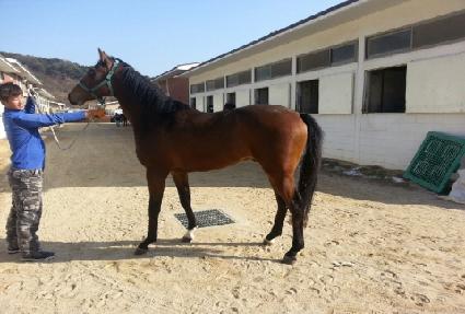 �Ŀ��Ž� ����