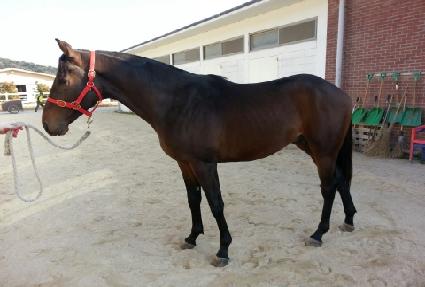 ������ũ ����