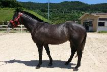 �ٴٿ��� (BADA YEONGUNG) ����