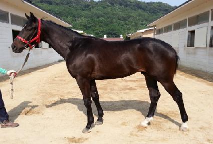 �������� ����