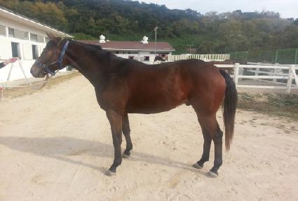 Ƽ�ں��� ����