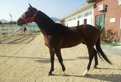 �Ѹ����� ����