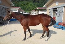 ������ (F FOUR) ����