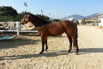 ��Ű (LUCKY) ����