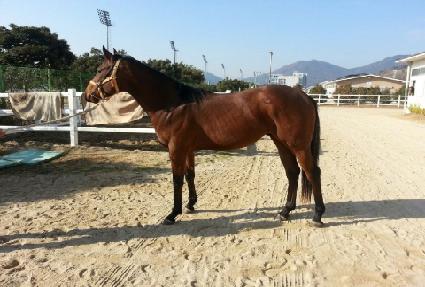 ��Ű ����