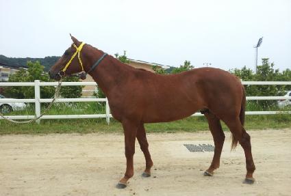 ���������� ����