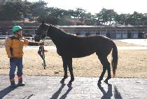 �����̽�Ÿ (SPEI STAR) ����