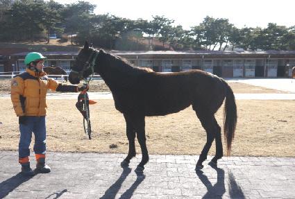 �����̽�Ÿ ����