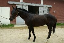 Ŭ���ְ� (CLEAN CHOEGANG) ����