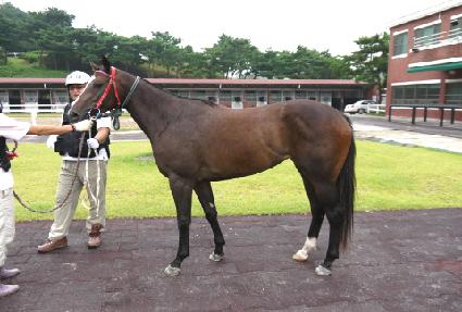 ��ũ���̵� ����