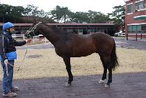 õ�յ��� (CHEONWANG DUNGI) ����