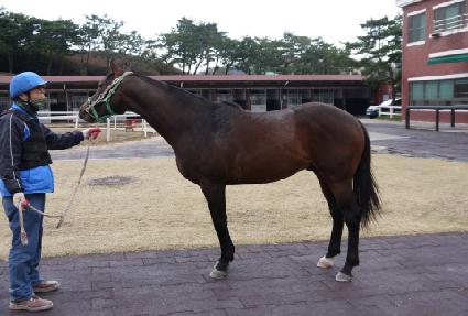 õ�յ��� ����