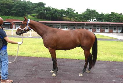 �������� ����