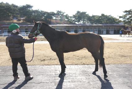 �����Ѻ�� ����