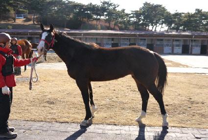 ���������� ����