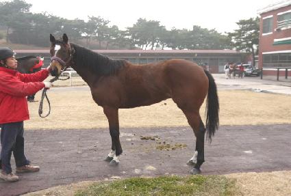 �������� ����