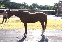 �ູ���Ϸ� (HAENGBOKAN HARU) ����