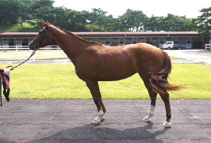 ���ǵ�ķ�� ����