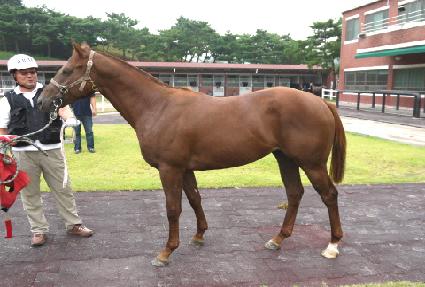 ������ȭ ����