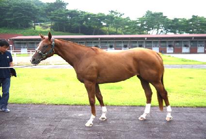 Ŭ�������ǵ� ����