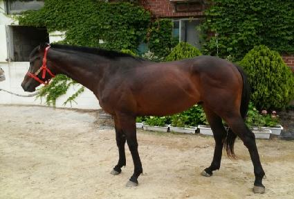 �¸����̺� ����