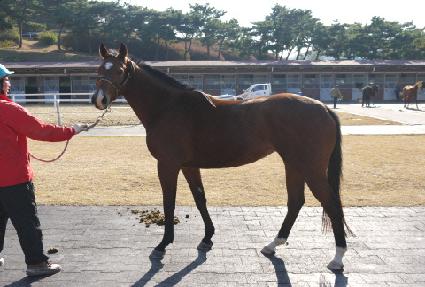 ķ����õ ����