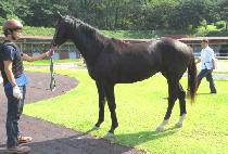 �߳������� (JALNASSEO JEONGMAL) ����