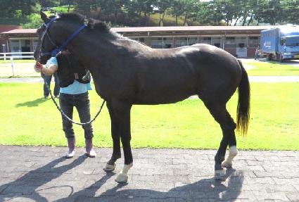 �븮��Ÿ ����