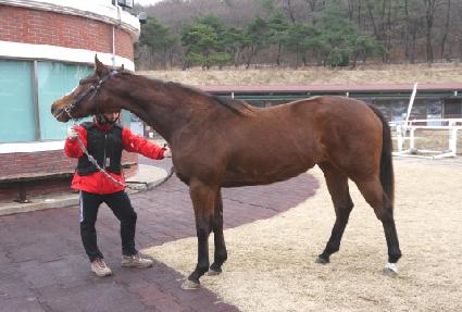 ��������ũ�� ����