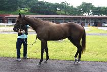 ��ĳ���� (TOP CAPITAL) ����