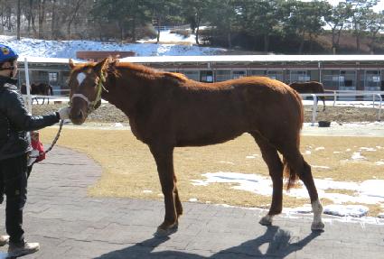 ������ ����