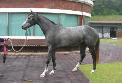 ��Ʈ������ ����