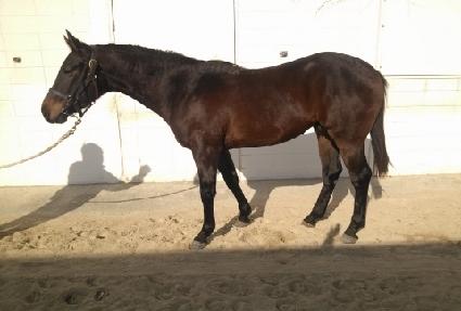 ���Ϻ�� ����